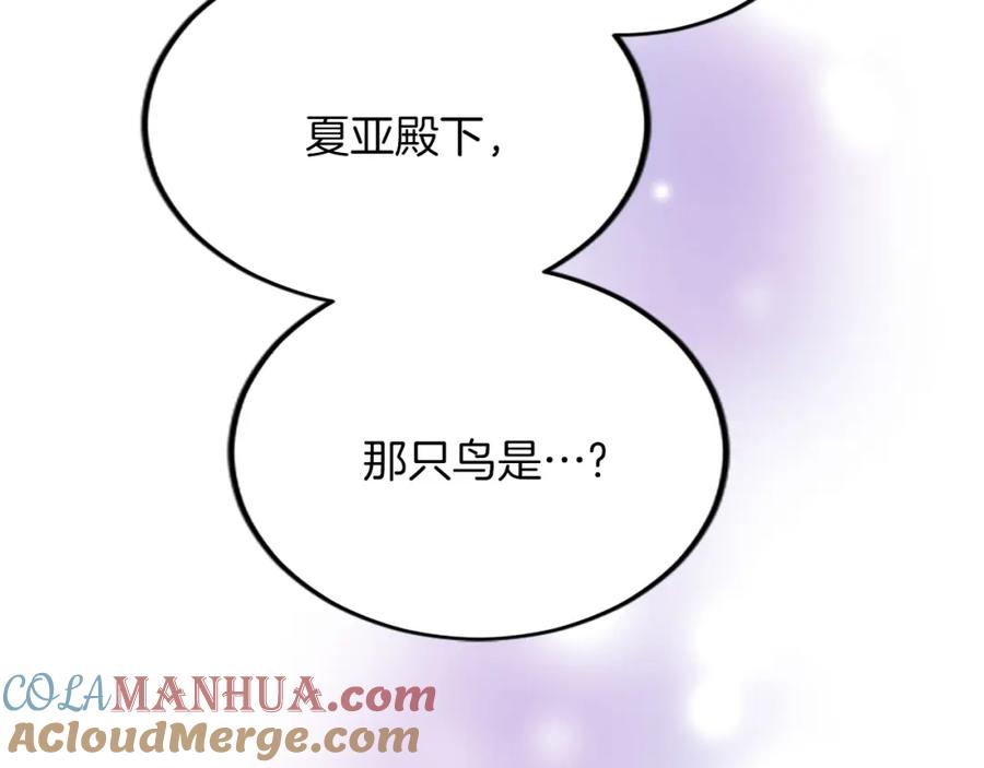 《退婚恶女在旷野生存》第五十五话 骑士vs王子 第117页