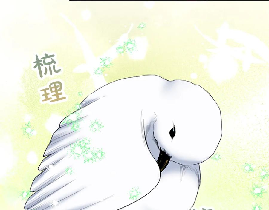 《退婚恶女在旷野生存》第五十五话 骑士vs王子 第124页
