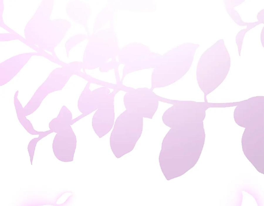 《退婚恶女在旷野生存》第五十八话 与夏亚殿下的交易 第18页