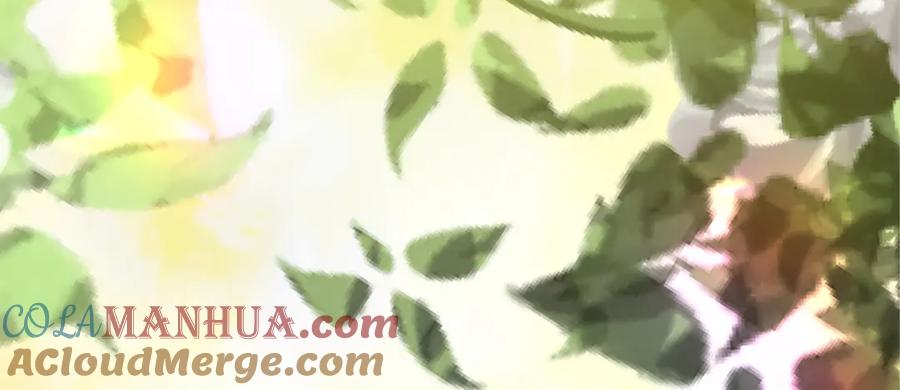 《退婚恶女在旷野生存》第七十四话 帕夏王子的打算 第145页