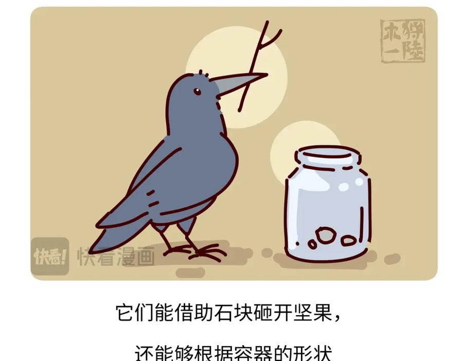 《胖达x胖达》第245话 第22页