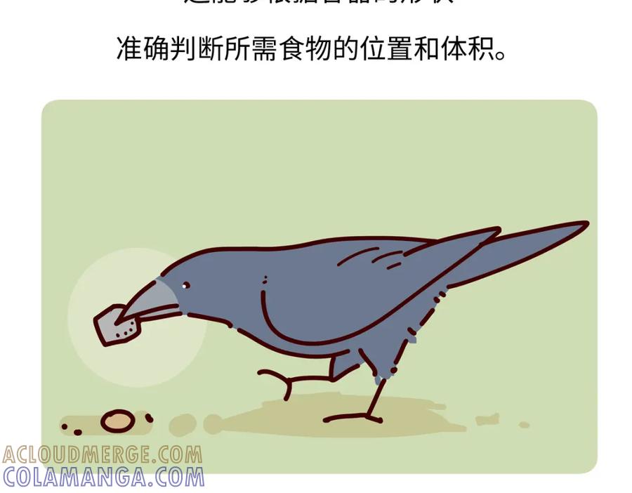 《胖达x胖达》第245话 第23页