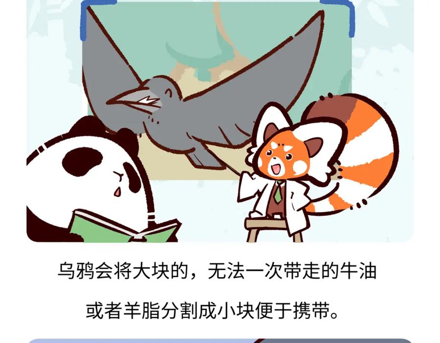 《胖达x胖达》第245话 第26页