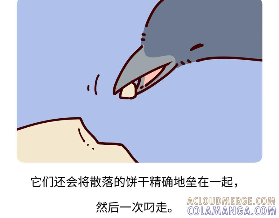 《胖达x胖达》第245话 第27页