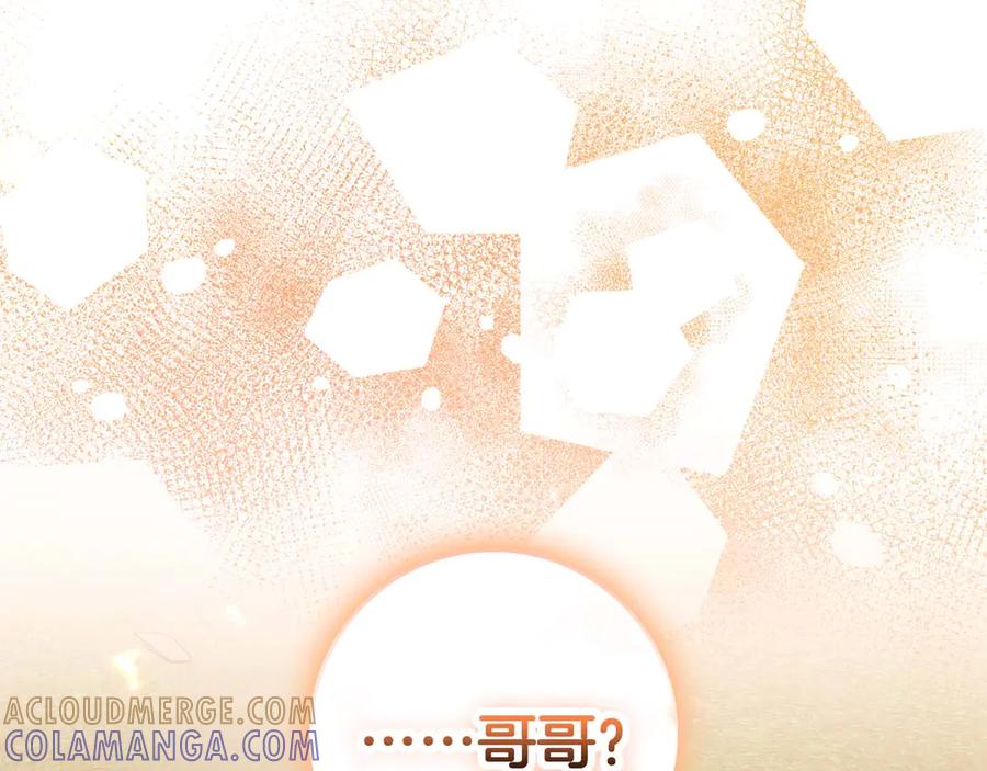 《伯爵大人夜未眠》第63话 兄妹相认 第209页