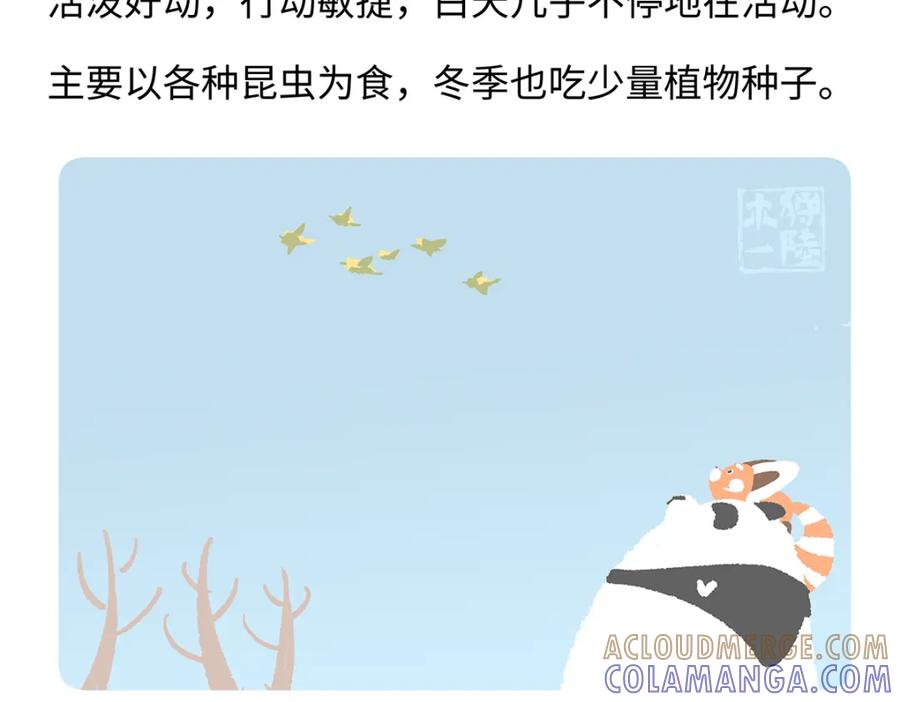 《胖达x胖达》第262话 第23页