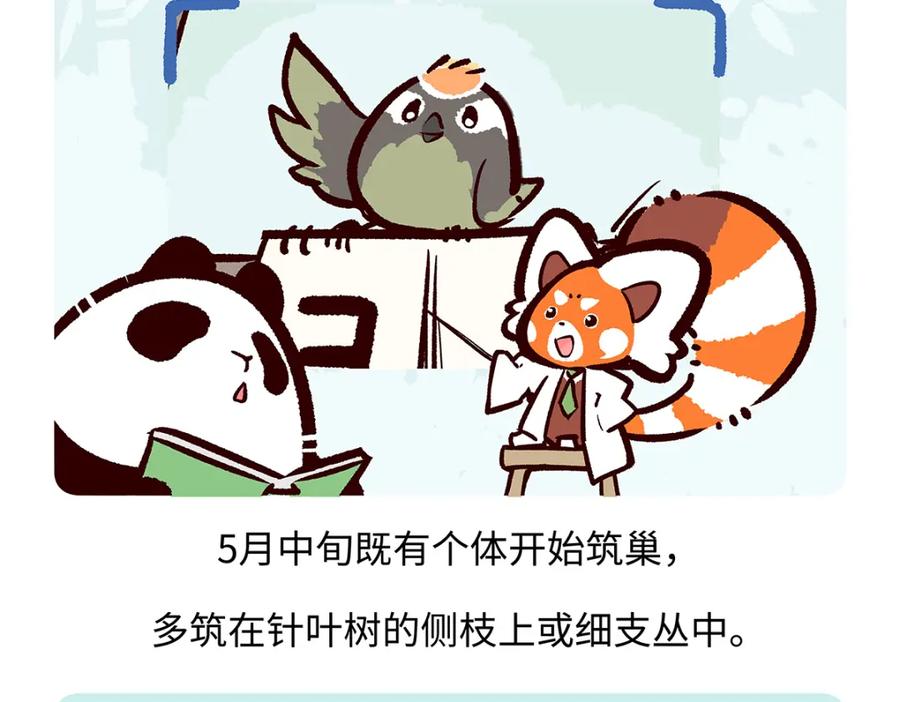 《胖达x胖达》第262话 第26页