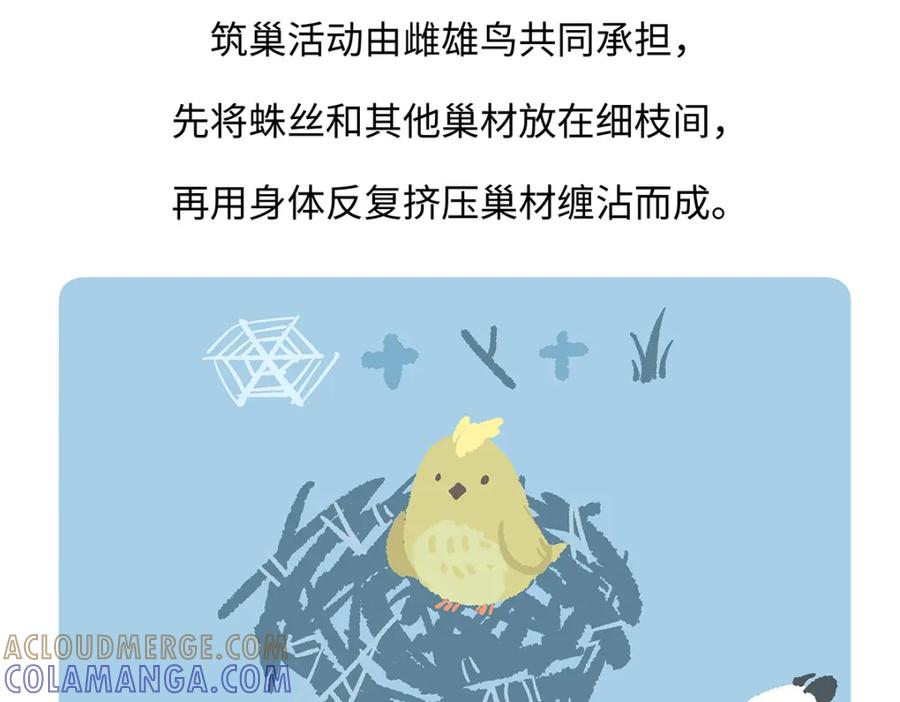 《胖达x胖达》第262话 第29页