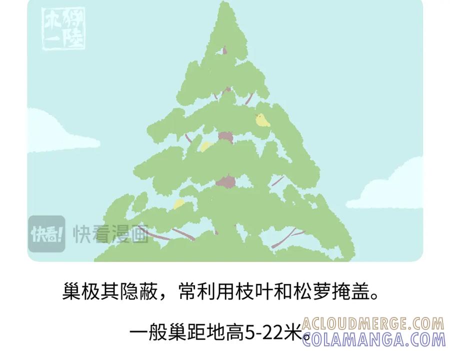 《胖达x胖达》第262话 第27页