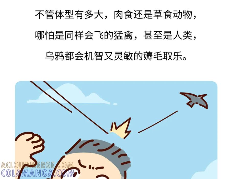 《胖达x胖达》第246话 第27页