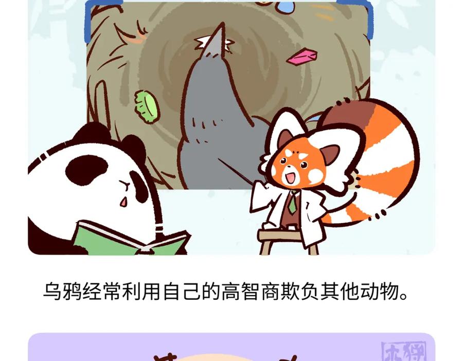 《胖达x胖达》第246话 第24页