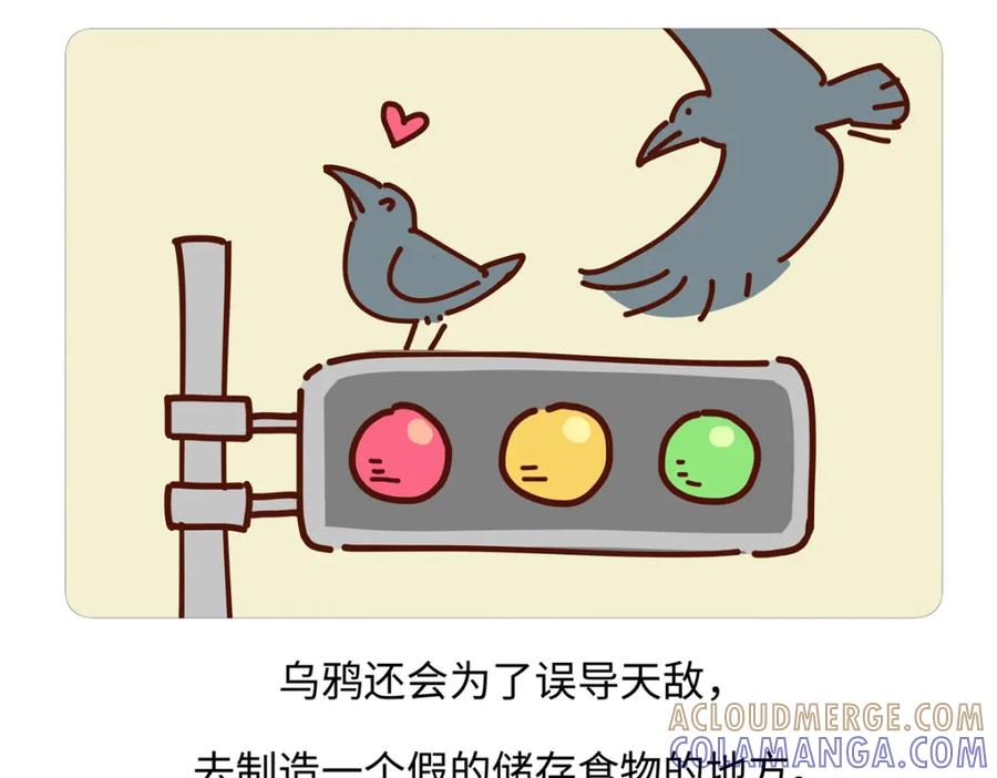 《胖达x胖达》第246话 第21页