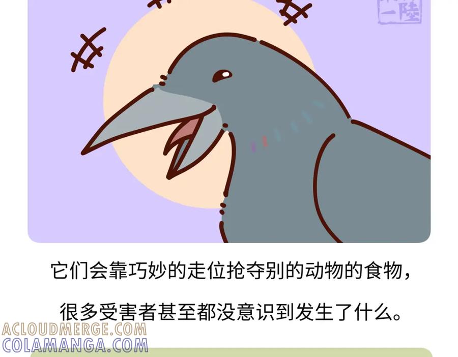《胖达x胖达》第246话 第25页