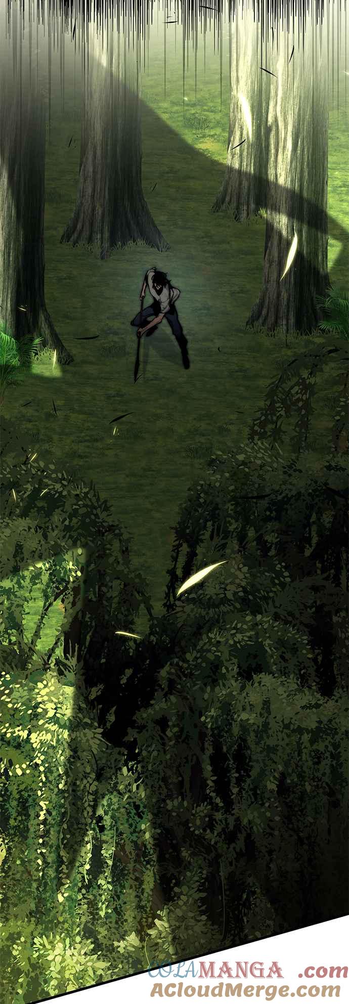 73.jpg