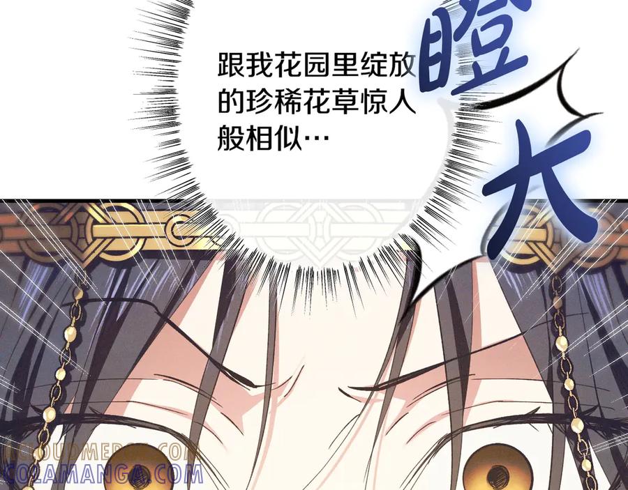 《吞石榴的蛇》第4话 热闹的宴会 第157页