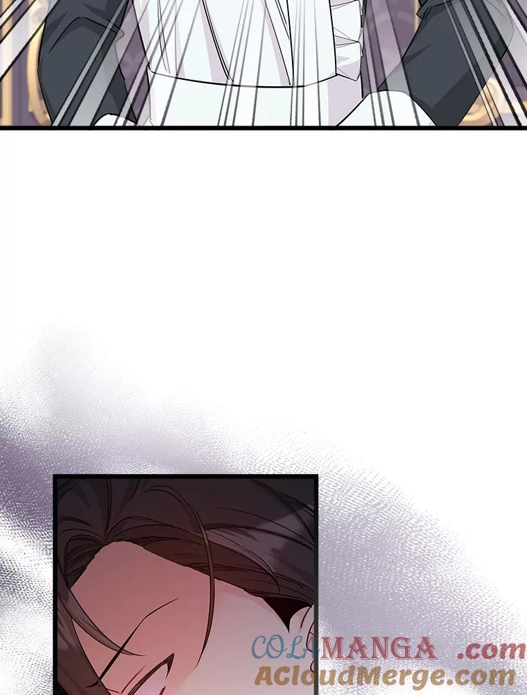 《女仆是悲惨结局收藏家》9.交代任务 第94页