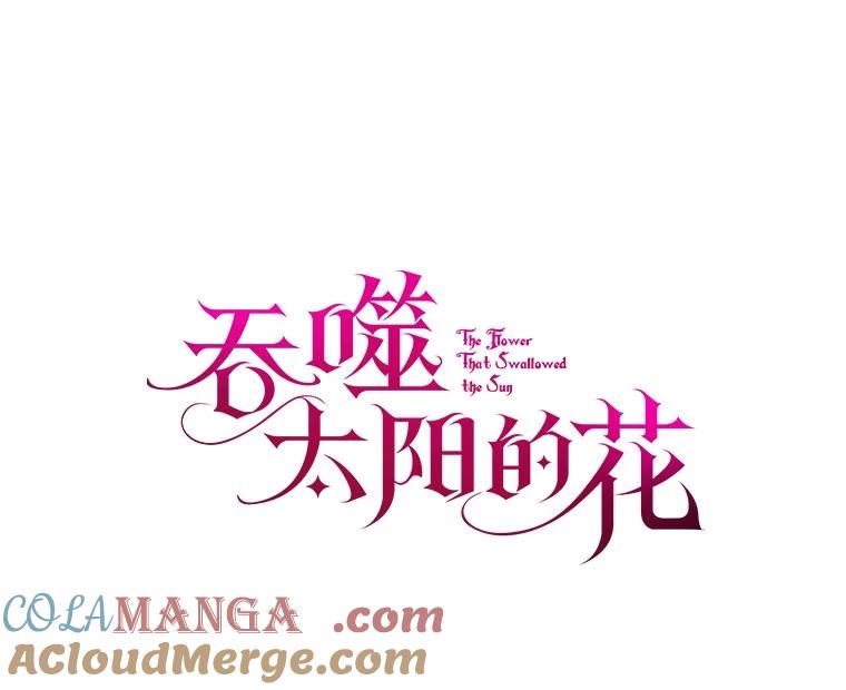 《吞噬太阳的花》12.耳坠 第9页