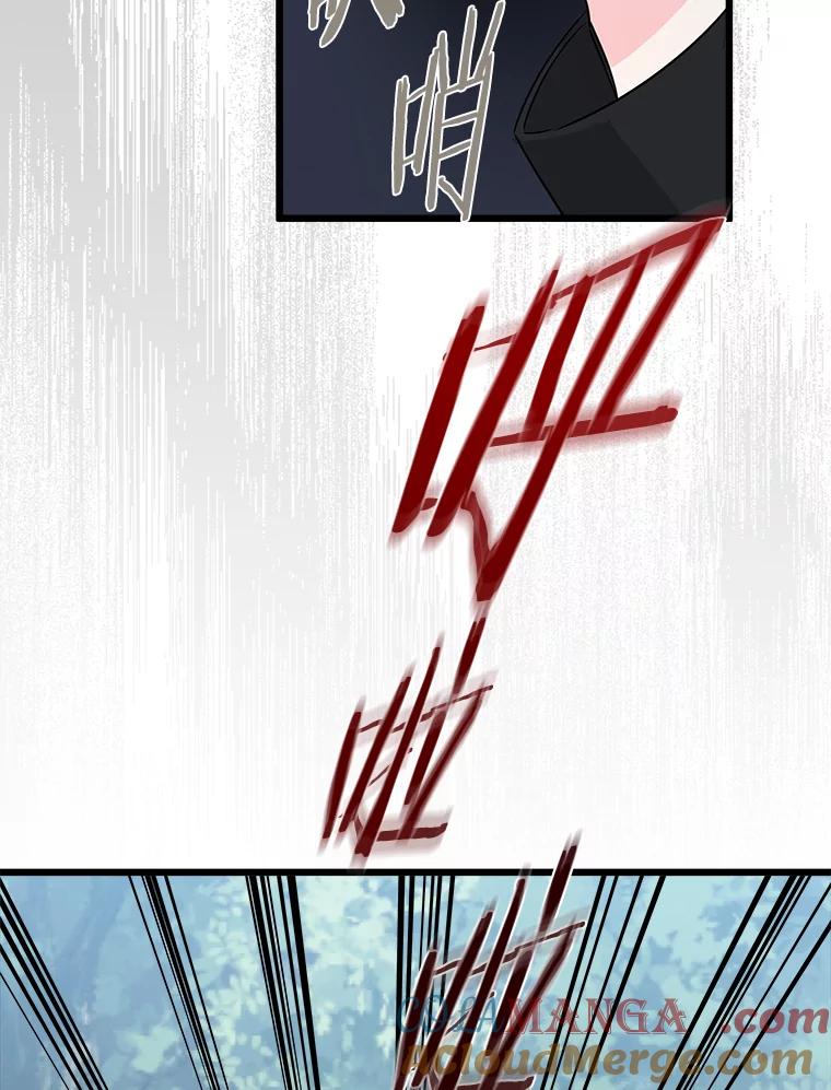 《女仆是悲惨结局收藏家》15.魔兽突袭 第97页