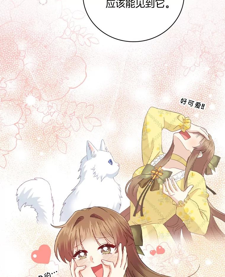 《到底什么时候变成反派的》16.入宫觐见 第59页