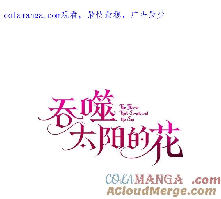《吞噬太阳的花》16.往事 第1页