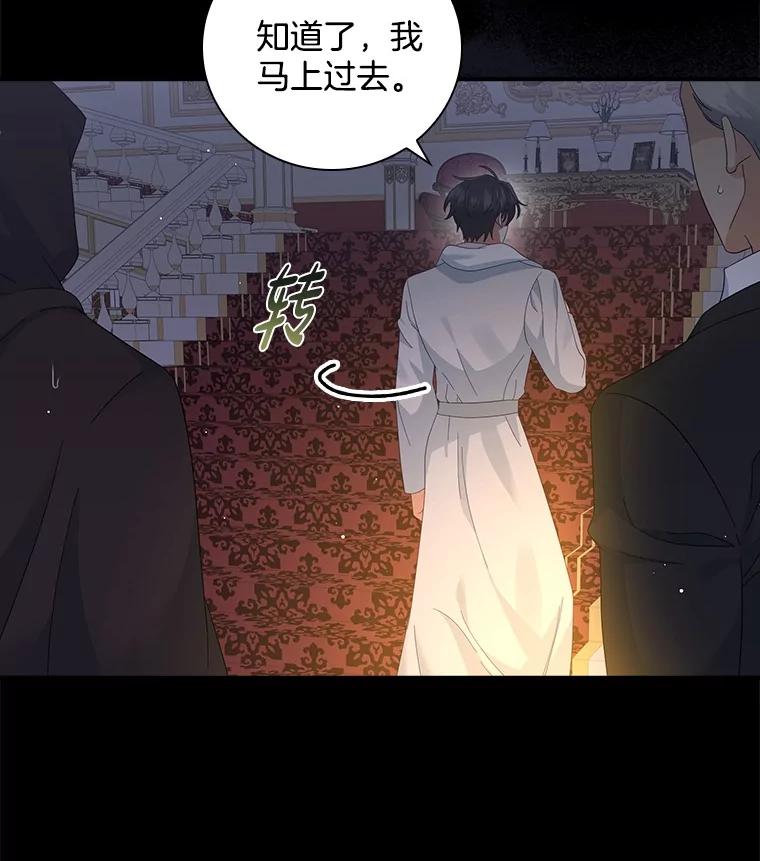 《到底什么时候变成反派的》16.入宫觐见 第12页