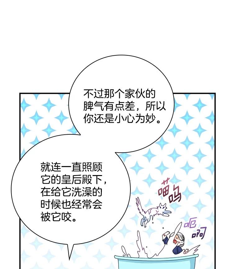 《到底什么时候变成反派的》16.入宫觐见 第63页