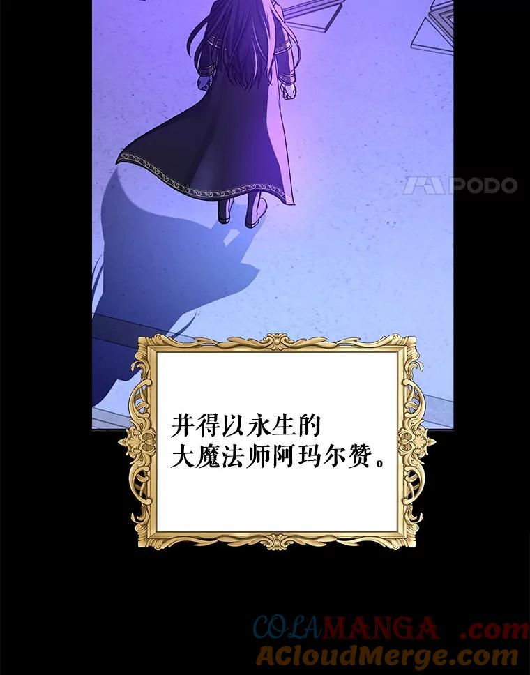 《吞噬太阳的花》1.大魔法师重生 第17页