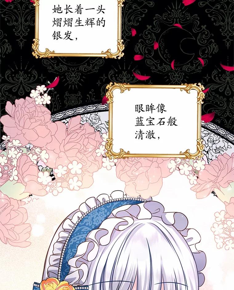 《吞噬太阳的花》1.大魔法师重生 第40页