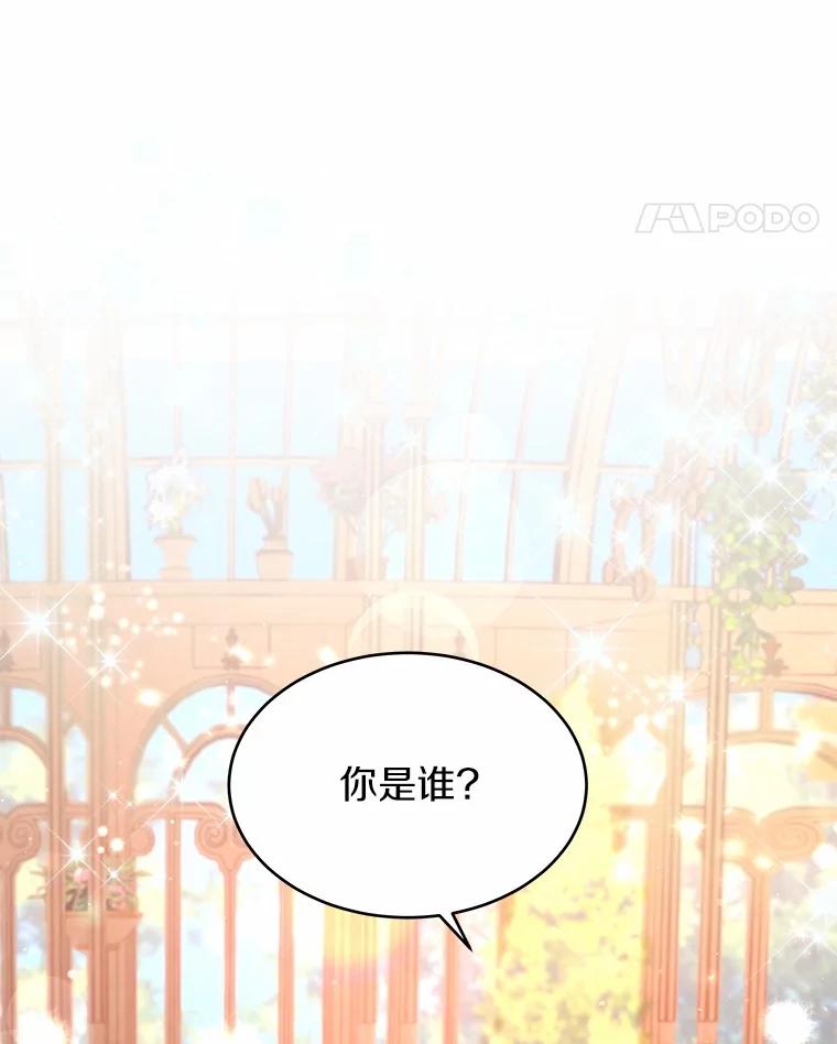 《吞噬太阳的花》1.大魔法师重生 第140页