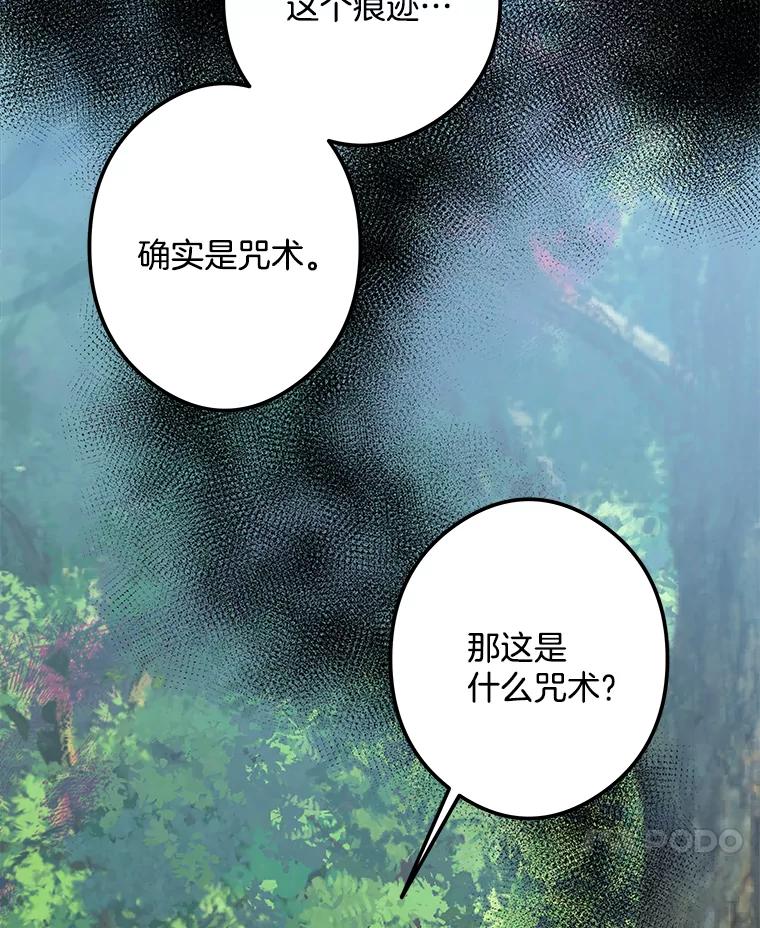 《女仆是悲惨结局收藏家》20.引发危险 第76页