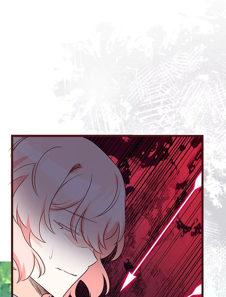 《女仆是悲惨结局收藏家》20.引发危险 第58页