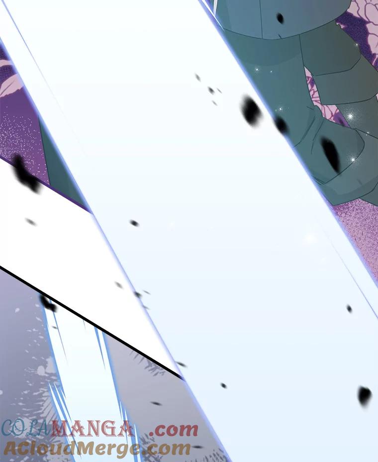 《女仆是悲惨结局收藏家》20.引发危险 第125页