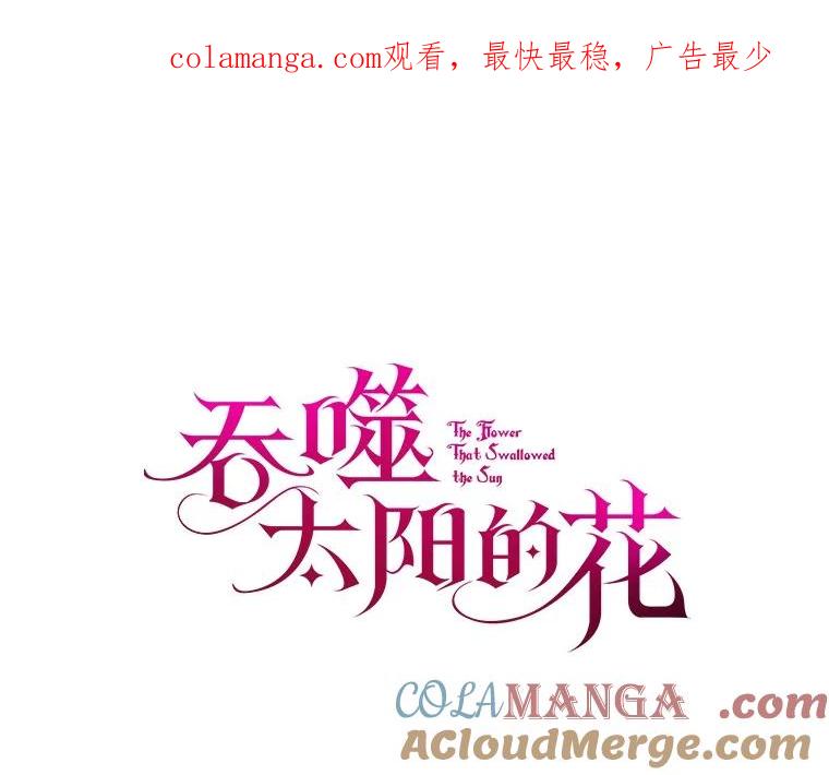 《吞噬太阳的花》21.闪耀之剑 第1页