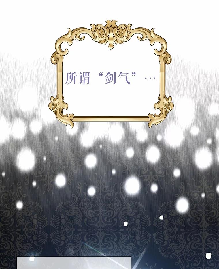 《吞噬太阳的花》21.闪耀之剑 第88页