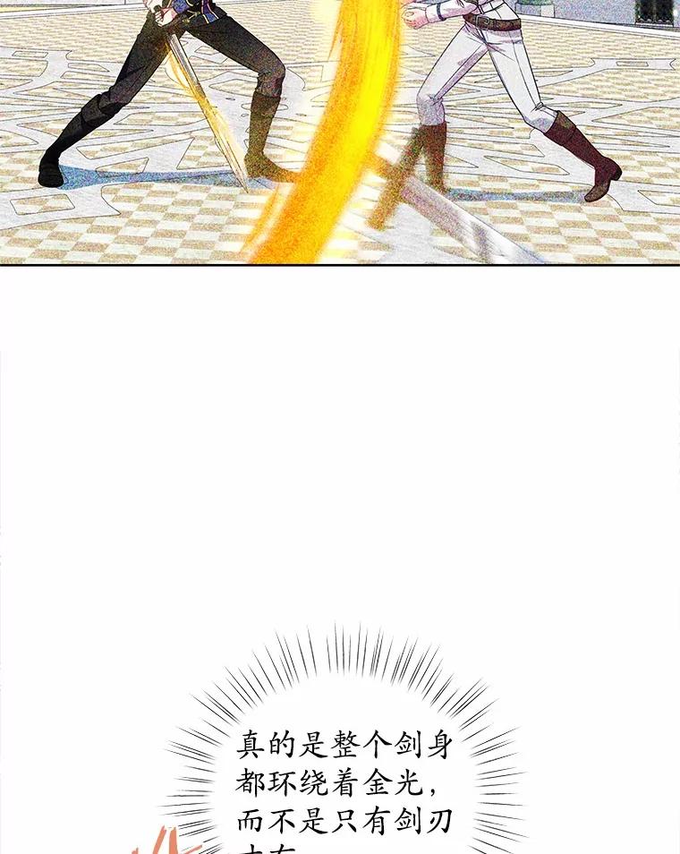 《吞噬太阳的花》21.闪耀之剑 第99页