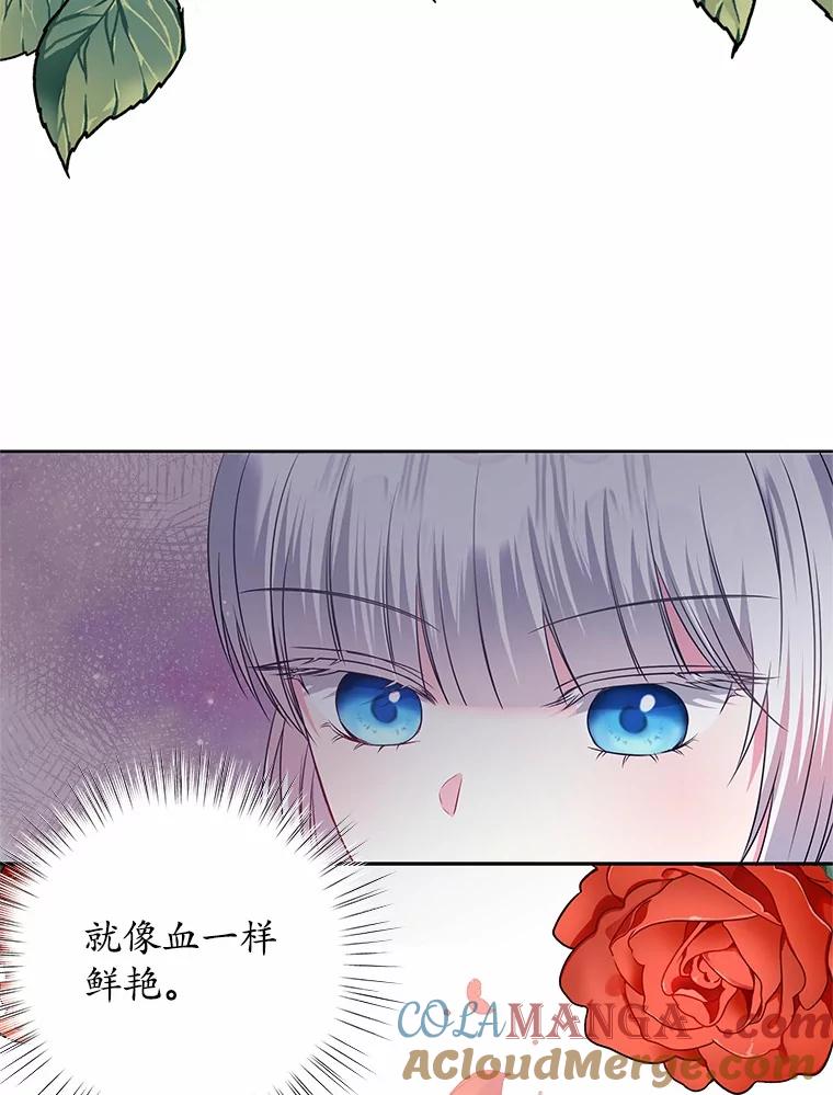 《吞噬太阳的花》22.超乎预料 第41页