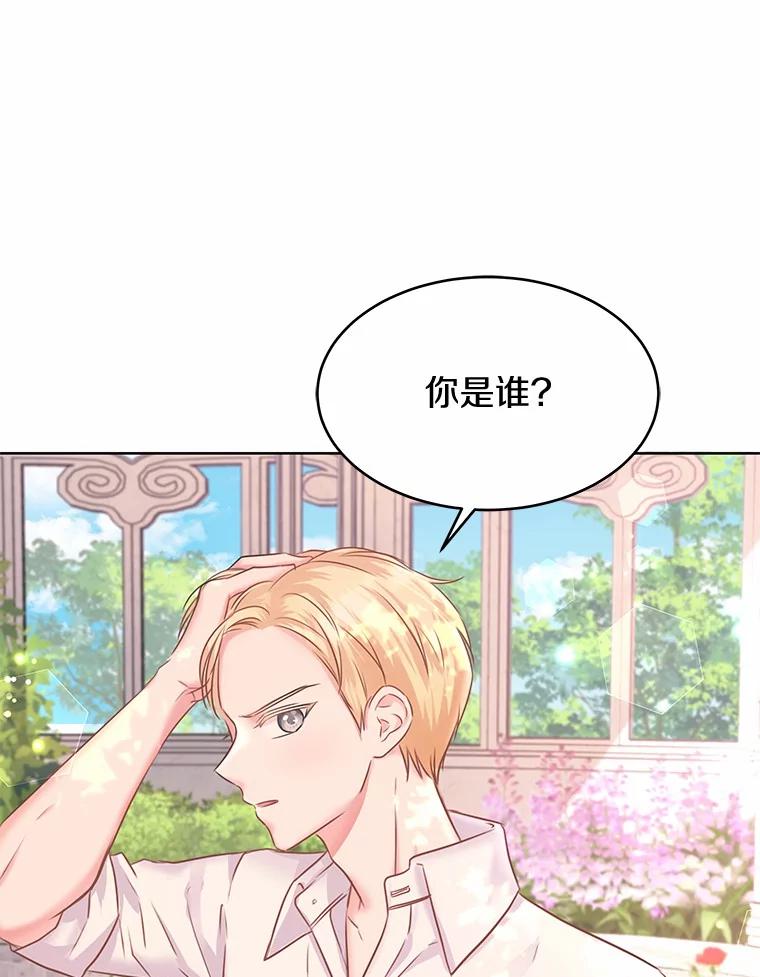《吞噬太阳的花》2.入宫当侍女 第3页