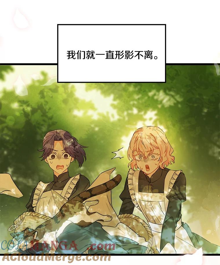 《女仆是悲惨结局收藏家》2.获取固有技能 第37页