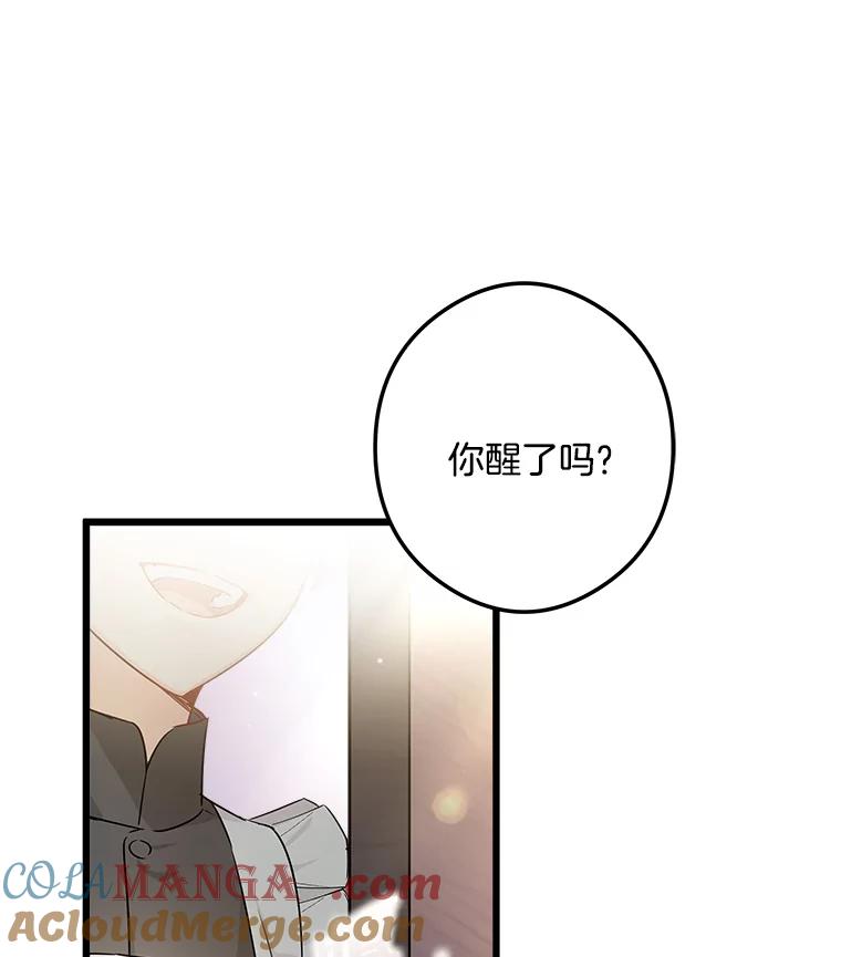 《女仆是悲惨结局收藏家》2.获取固有技能 第25页