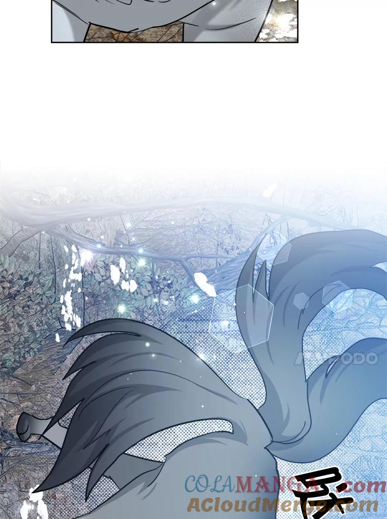 《怕冷的北部大公》38.露宿街头？ 第29页