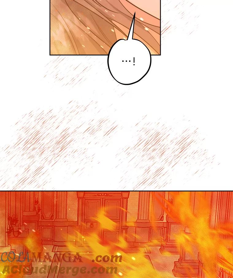 《怕冷的北部大公》40.宅邸起火 第91页