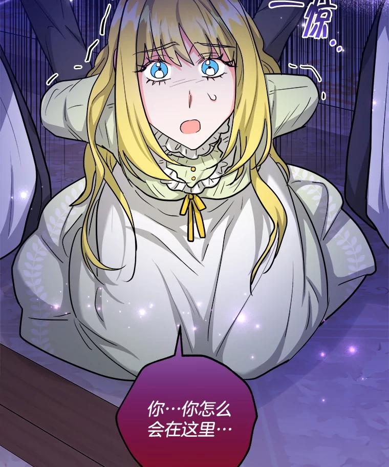 《怕冷的北部大公》42.控制皇宫 第64页