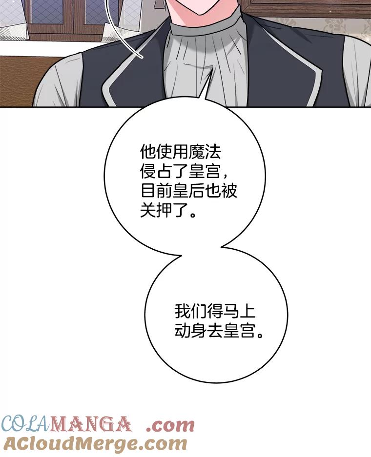 《怕冷的北部大公》42.控制皇宫 第41页