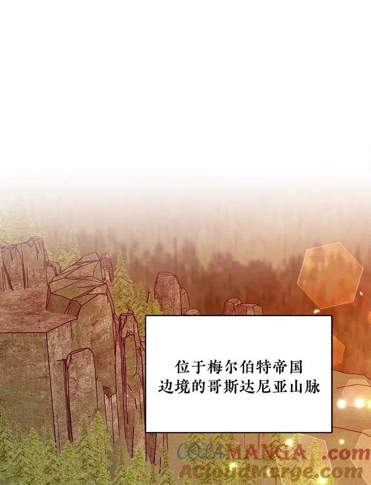 《怕冷的北部大公》43.分析情况 第19页
