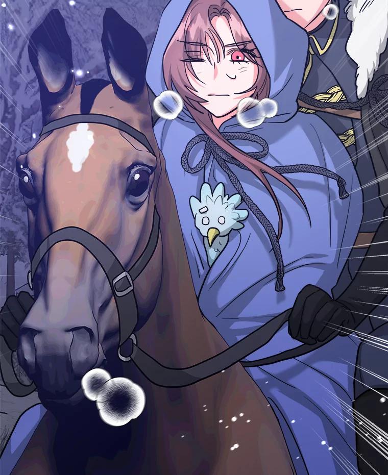 《怕冷的北部大公》43.分析情况 第12页