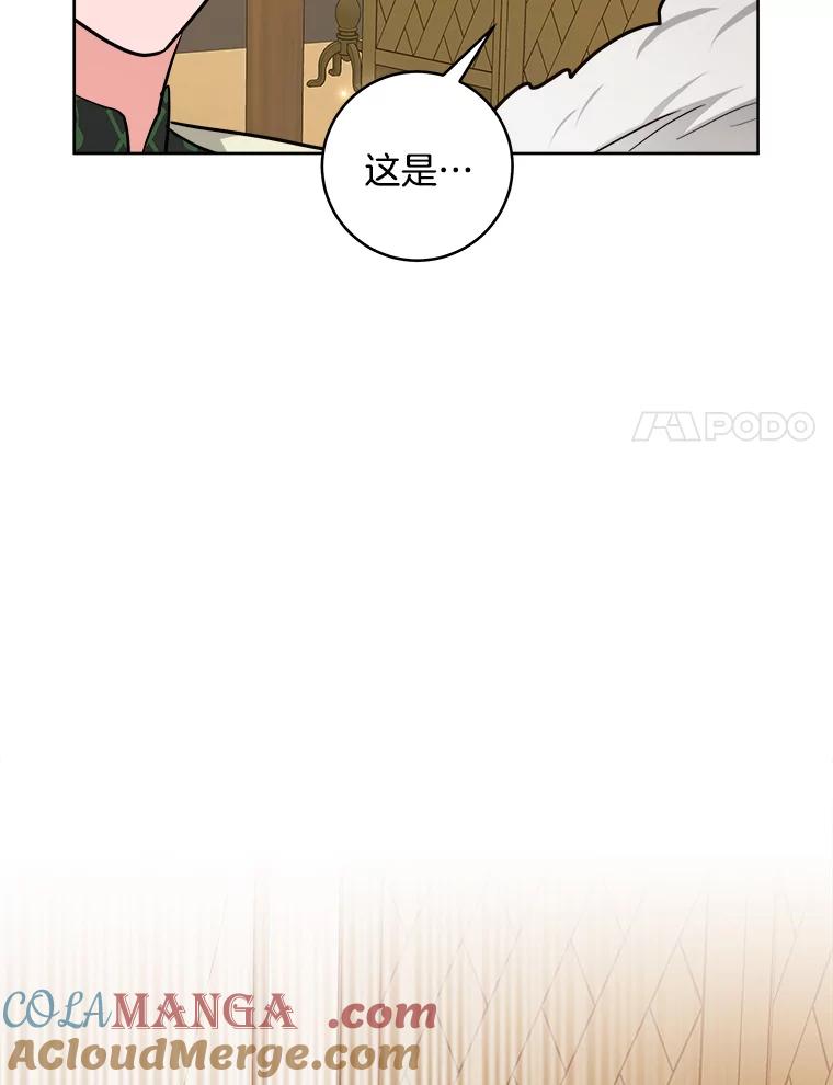 《怕冷的北部大公》43.分析情况 第28页