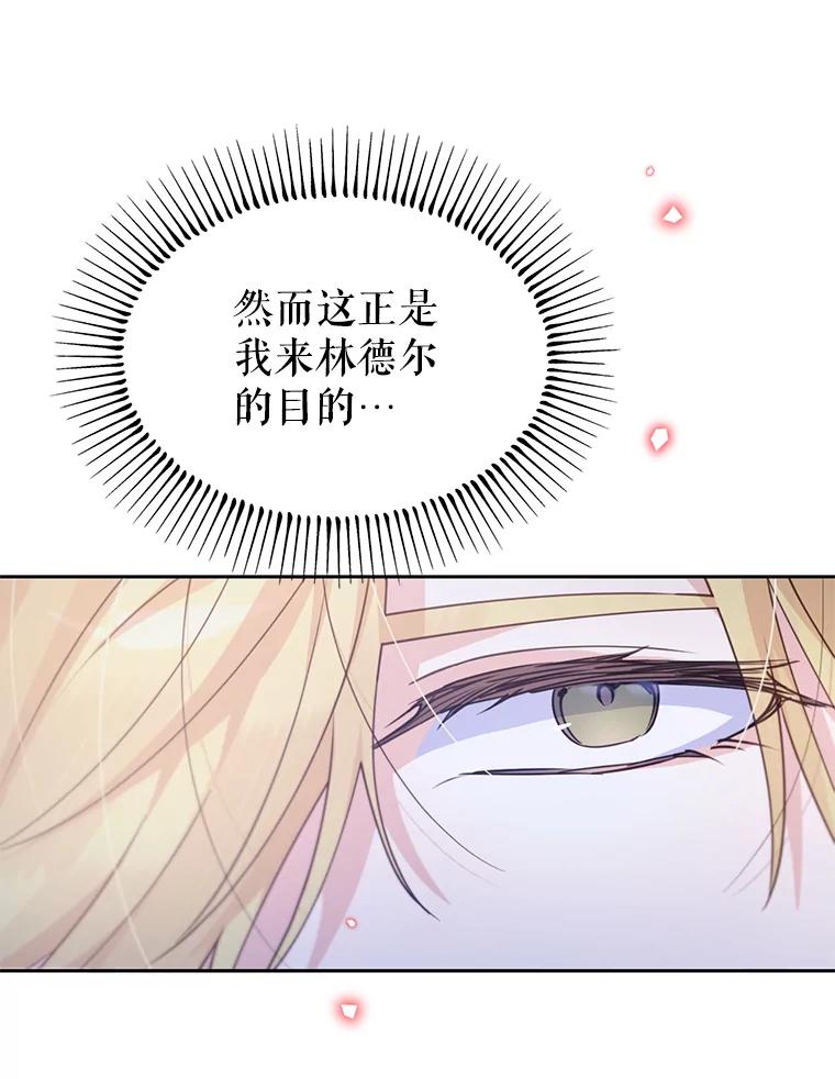 《林德尔又出什么事了？》48.关闭修道院 第74页