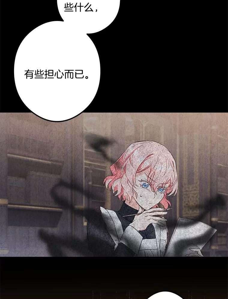 《女仆是悲惨结局收藏家》5.套用术式 第43页