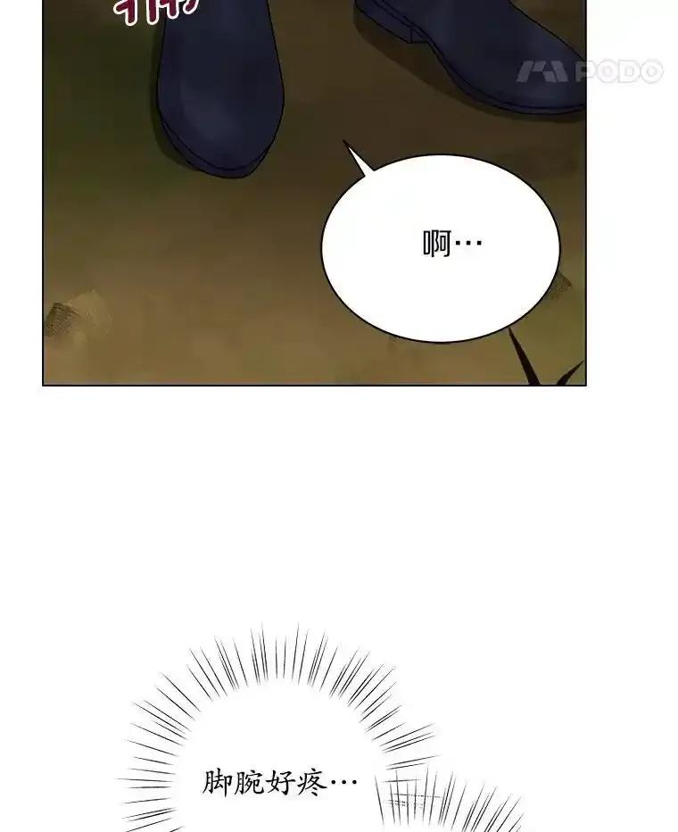《吞噬太阳的花》63.狩猎大赛 第80页