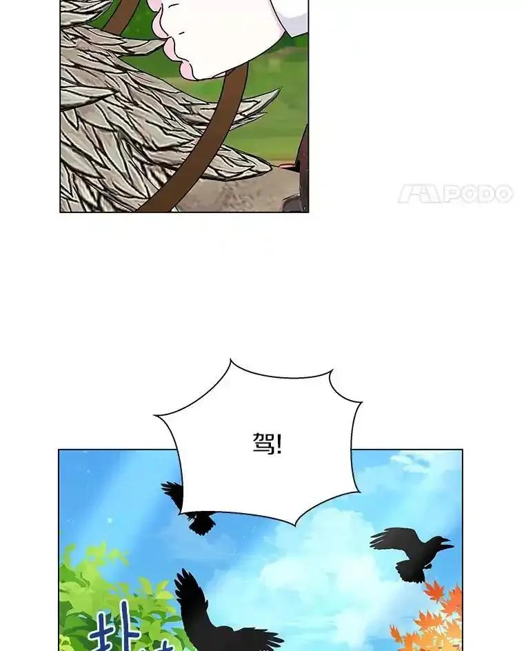 《吞噬太阳的花》63.狩猎大赛 第18页